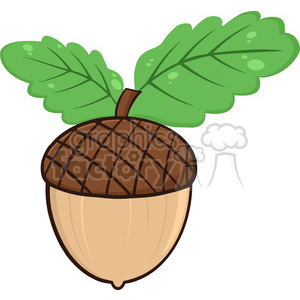 clipart - Royalty Free RF Clipart Illustration Acorn With Oak Leaves Cartoon Illustrations.