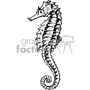 vintage retro old black+white sea+life sea+creature seahorse tattoo