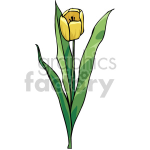 yellow tulip clipart. Commercial use image # 151149