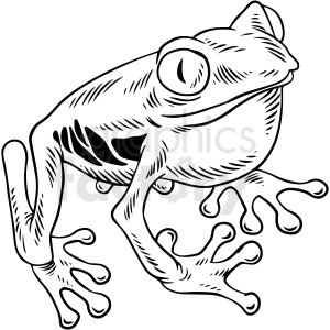 black and white frog vector illustration clipart.