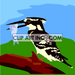   birds birds fish  0_anim023.gif Animations 2D Animals 