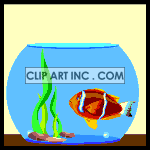   fishes fish bowl  animals027.gif Animations 2D Animals 