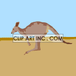 kangaroo02 animation. Commercial use animation # 119060