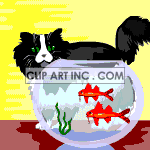   cat cats feline felines kitten kittens fish bowl bowls Animations 2D Animals Cats 
