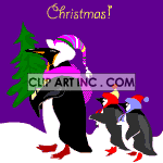   christmas xmas holidays winter snow penguin penguins bird birds  0_Christmas-3.gif Animations 2D Holidays Christmas 