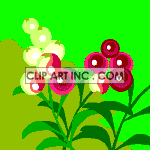   flower flowers nature wind  0_Other002.gif Animations 2D Other 