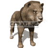 mlion animation. Commercial use animation # 123613