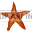 starfish_1008