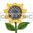 Sunflower clipart. Royalty-free image # 126871