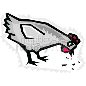   chicken chickens farm farms rooster feed feeding grey  chicken2.gif Clip Art Agriculture 