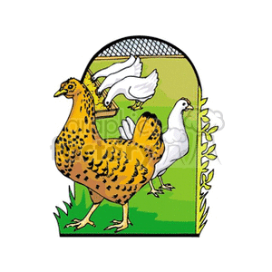 Head Rooster Watching Over The Other Chickens Feeding clipart. Royalty-free image # 128330