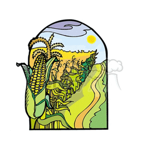 Corn Feild with a Single Corn Husked clipart. Royalty-free image # 128336