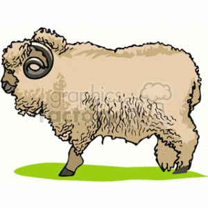 bighorn clipart. Commercial use image # 128866