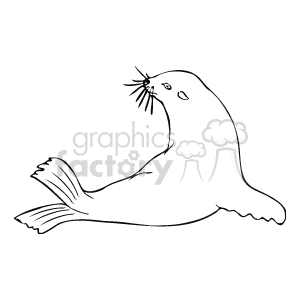  seal seals   Anml074_bw Clip Art Animals 