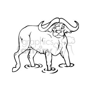 The image is a black-and-white sketch of a buffalo, with a large head and body, small horns, and a tuft of hair on its head. It is walking in water and has ripples around some of its feet