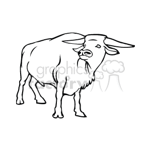 The image shows a bull or a cow with two horns on its head. It is depicted in a black-and-white line art illustration.