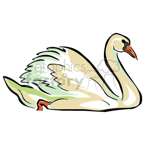  swan swans bird birds   Anmls073C Clip Art Animals 