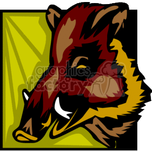 Close up of a wild boar  clipart.