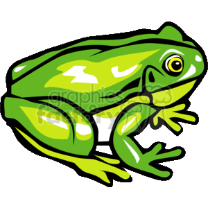 Big green tree frog clipart. Royalty-free image # 129771