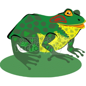 clipart - Load toad with yellow under-belly.