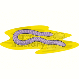 Common Earth Worm clipart.