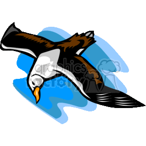 Brown and white albatross in mid-flight clipart. Commercial use image # 130181