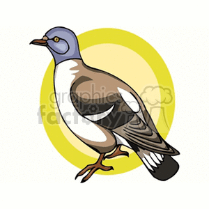 Side profile of a pigeon clipart.