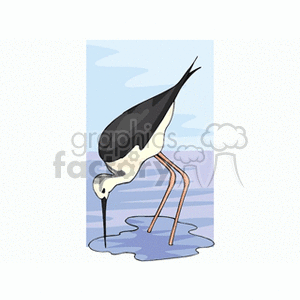 Crane drinking water clipart. Commercial use image # 130299
