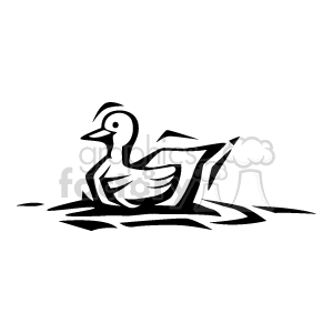 Black and white duck in water clipart. Commercial use image # 130341