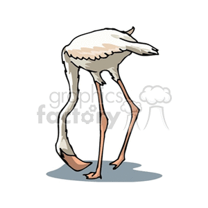 clipart - White flamingo with head down.