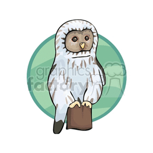 clipart - Spotted barn owl perched on fence post.