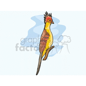 Side profile of a hoatzin clipart.