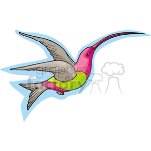 Pink and green humming bird animation. Commercial use animation # 130464