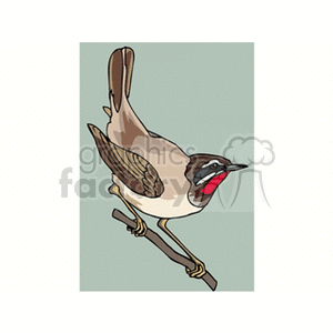 Nightingale perched on branch clipart. Royalty-free image # 130507