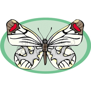 white and yellow butterfly with red tiped wings