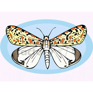   butterfly butterflies insect insects  butterfly11.gif Clip Art Animals Butterflies 