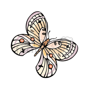 butterfly with orange circle and cream colored wings