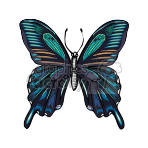 butterfly with green and orange silky wings clipart. Royalty-free image # 130774