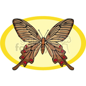 butterfly brown wing with red circle on  bright yellow background