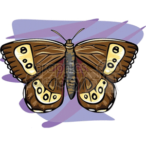   butterfly butterflies insect insects  butterfly40.gif Clip Art Animals Butterflies 