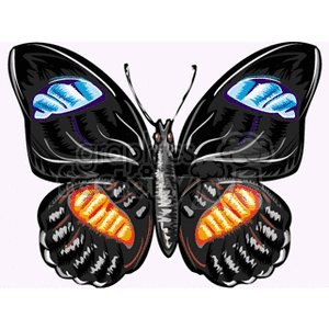 blue orange and black winged butterfly design