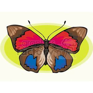 butterfly with red blue and brown wings clipart. Commercial use image # 130811