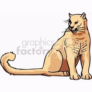 Golden colored cougar clipart. Commercial use image # 131074