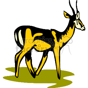 Abstract image of an African gazelle clipart.