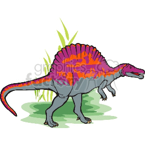 The clipart image features a colorful dinosaur, specifically a stylized representation that could be reminiscent of a Spinosaurus or a generic theropod, with prominent spines on its back and a dynamic pose as if it was walking. The dinosaur is illustrated with vibrant purples and reds on its body and spines against a simple backdrop of green grass or plants.