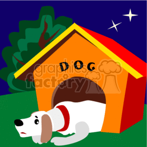 White dog inside his dog house during the night