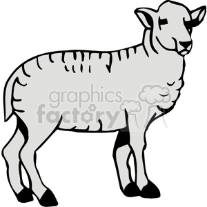   farm farms animals sheep lamb lambs  BAB0236.gif Clip Art Animals Farm 