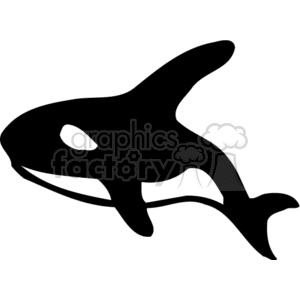 Cartoon Orca clipart. Commercial use image # 132213