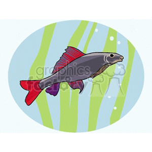 aquariumfish clipart. Commercial use image # 132267
