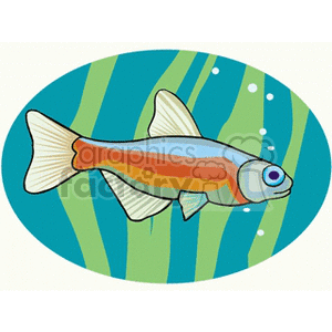 aquariumfish2 clipart. Commercial use image # 132269